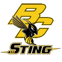 Free Baseball Management Game