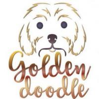 Free Baseball Management Game