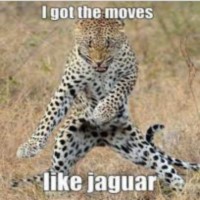 Free Baseball Management Game