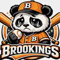 Free Baseball Management Game