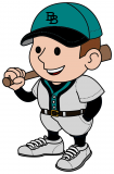 Casey, Broken Bat Baseball Mascot
